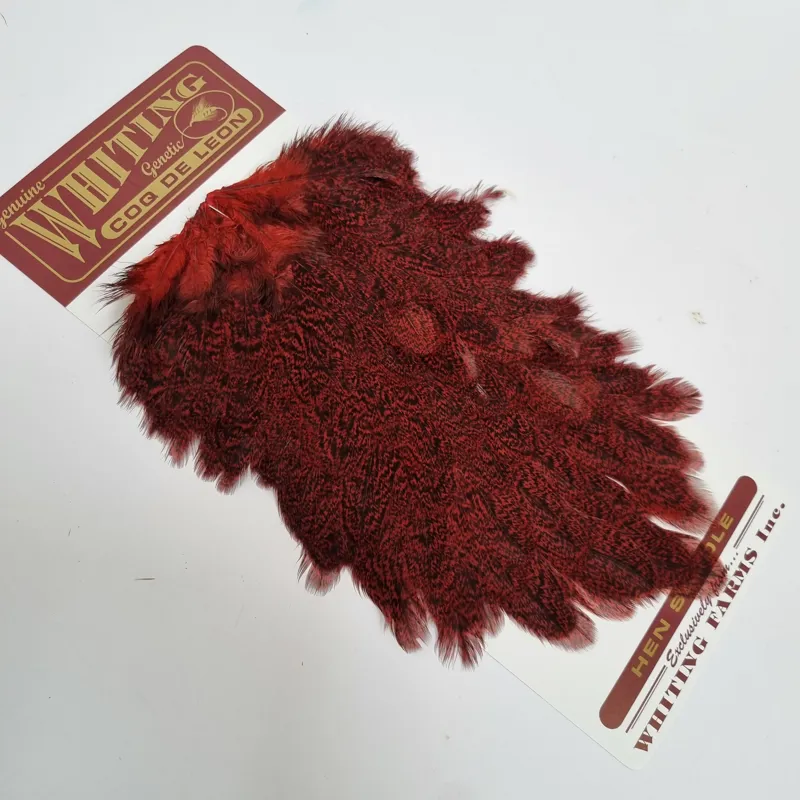 Whiting Coq de Leon Hen Saddle in Speckled Red